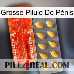 Grosse Pilule De Pénis new01